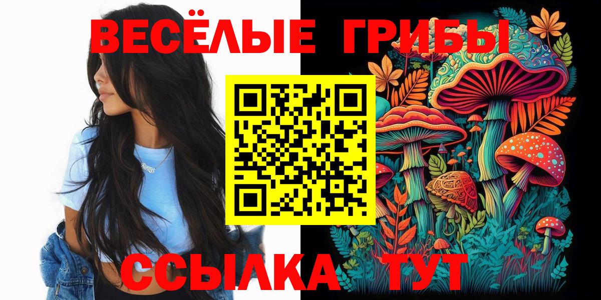 купить наркотики цена  Псилоцибиновые грибы Psilocybe  Вход с VPN  Кушва 