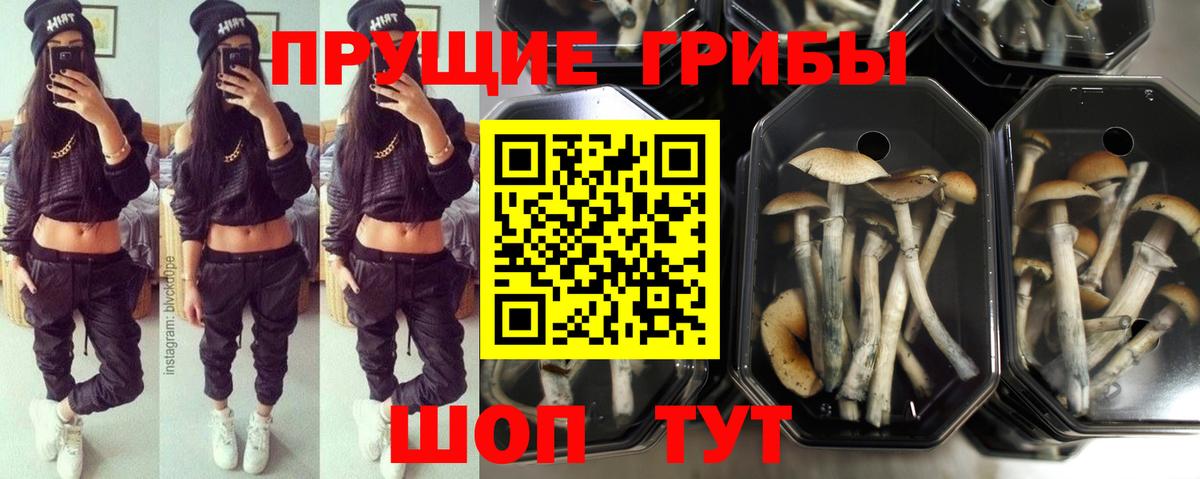 Псилоцибиновые грибы мухоморы Кушва